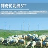 盐池滩羊1388型礼盒 商品缩略图2