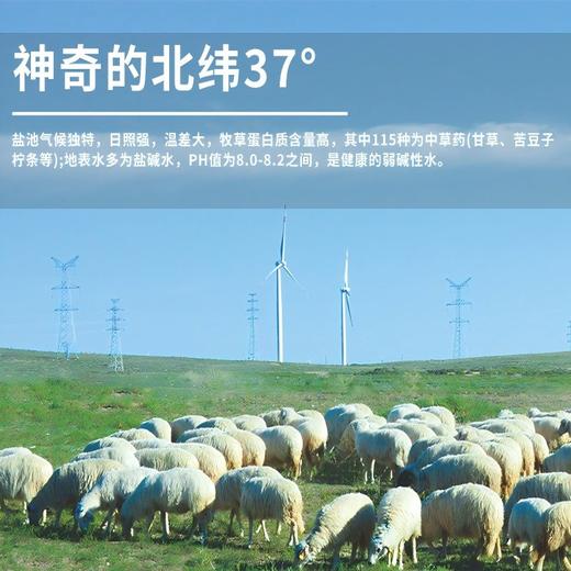 盐池滩羊1388型礼盒 商品图2