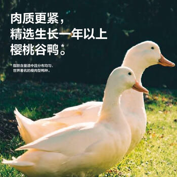 园南京鸭血粉丝汤招牌螺蛳粉米线原味2盒+藤椒2盒(多口味混合组合） /粮油调味 /方便食品 /特色米粉/米线 商品图4