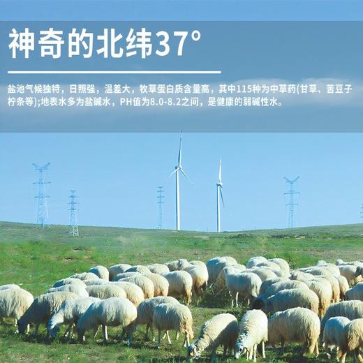 盐池滩羊888型礼盒 商品图1