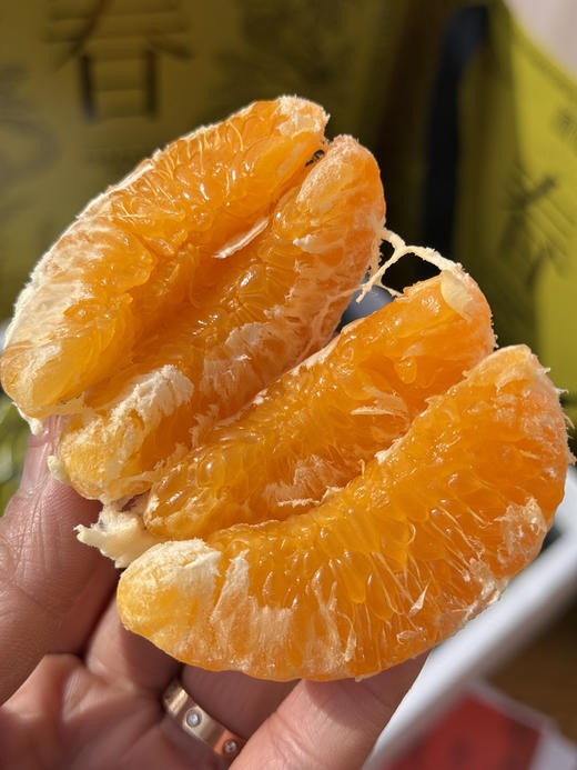 源心春见耙耙柑 商品图2