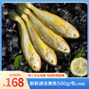 【浙江舟山海捕】东海新鲜速冻中黄鱼500g/包*2包（每包4条，共8条） 商品缩略图0
