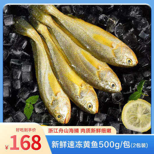【浙江舟山海捕】东海新鲜速冻中黄鱼500g/包*2包（每包4条，共8条） 商品图0