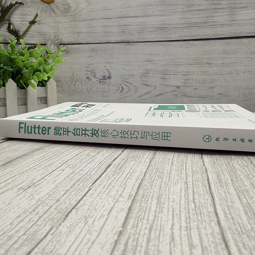 Flutter 跨平台开发核心技巧与应用 商品图3