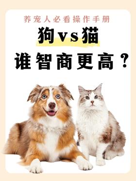 养宠人必看！狗狗vs猫，谁更聪明？