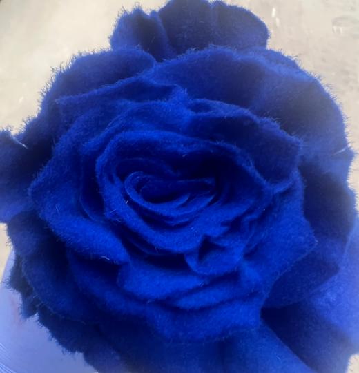 逸禾染色单头玫瑰 | 克莱因梦境【国产染色，可能染色不均匀 介意慎拍】 商品图0