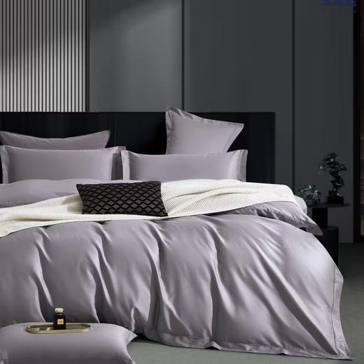 【春上新】10楼 恐龙 素色长绒棉四件套（多色）200*230cm/ 220*240cm   吊牌价1880-1980元    活动价499-599元 商品图0