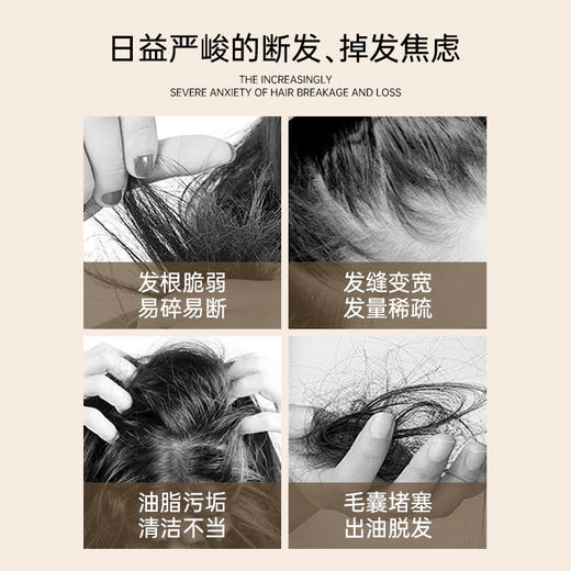 艾玛丝强韧防脱固发洗发水 商品图3
