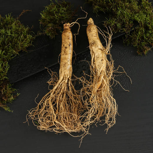 【粉丝专属❗️顺丰直达🔥长白山鲜人参】深入长白山参地采摘，甄选足龄人参，参味更浓，精气更足，营养丰富！东北土特产 袋装保鲜参煲汤泡酒参L 商品图2