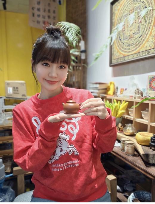 年后发！代工订单裁余！纯元！Coa女士飞马刺绣针织卫衣/短袖T恤（售后时间：签收3天内，不合适及时申请） 商品图5