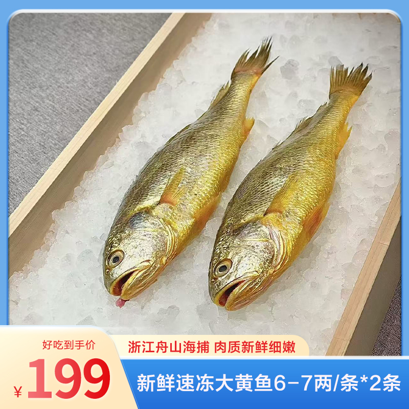 【浙江舟山海捕】东海新鲜速冻大黄鱼300-350g/条*2条