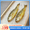 【浙江舟山海捕】东海新鲜速冻大黄鱼300-350g/条*2条 商品缩略图0