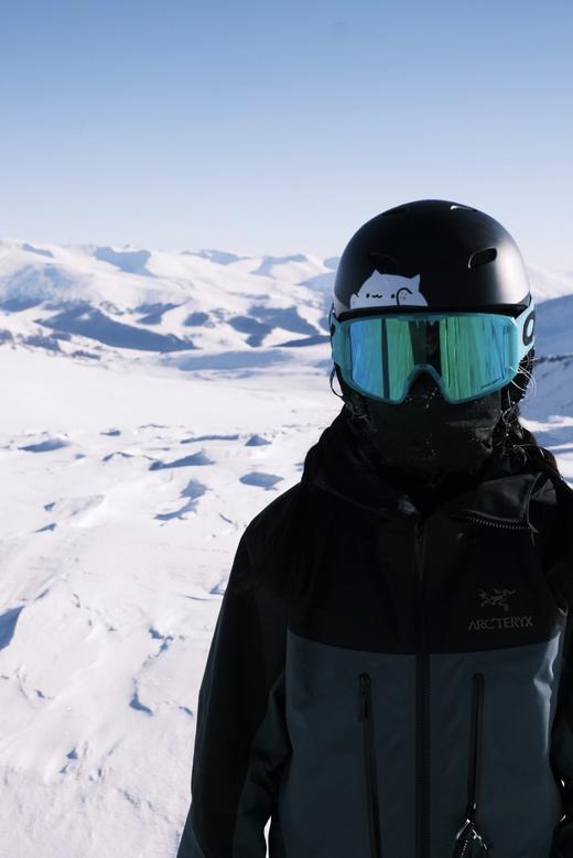 始祖鸟 Alpha SV8 冲锋衣(MG) 商品图7