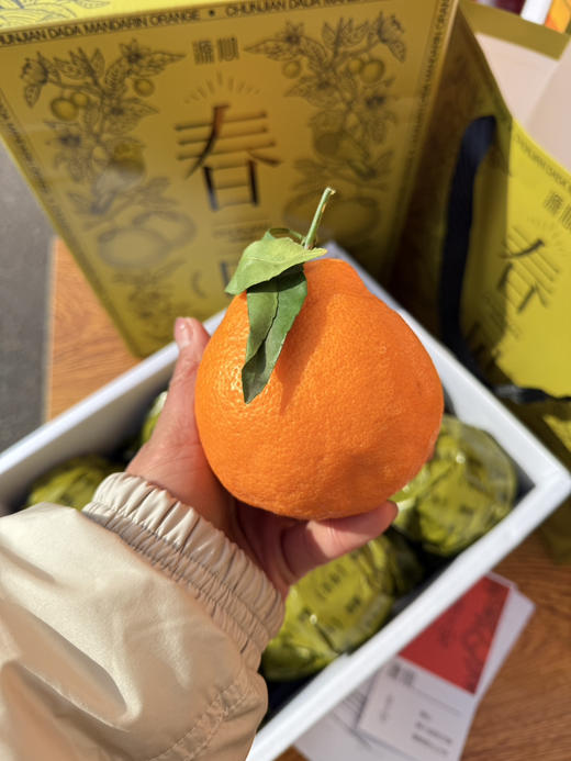 源心春见耙耙柑 商品图3