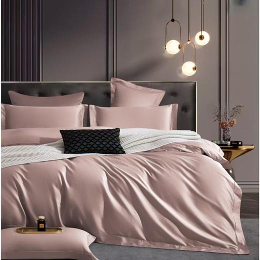 【春上新】10楼 恐龙 素色长绒棉四件套（多色）200*230cm/ 220*240cm   吊牌价1880-1980元    活动价499-599元 商品图2