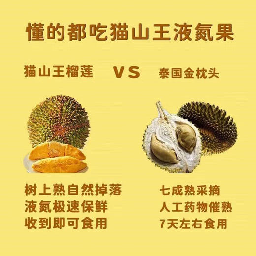 冰淇淋口感猫山王！液氮速锁鲜 马来西亚榴莲 绵密醇香 商品图1
