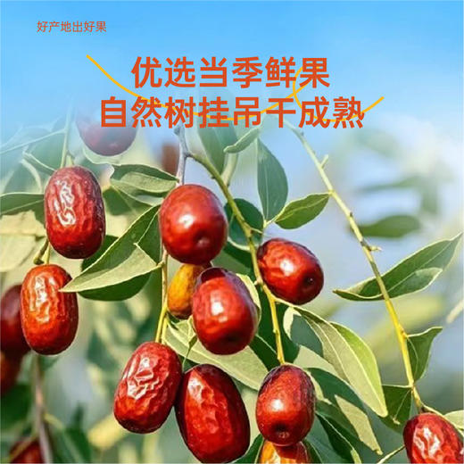 派喔和田骏枣礼盒600g（新老包装随机发货） 商品图5