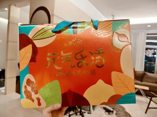 【2月13号截单】【年货零食礼盒】0香精、色素、防腐剂，0糖0脂肪，啥都没加，只有原水果！但特别好吃！山臻U品干果休闲零食 商品图2