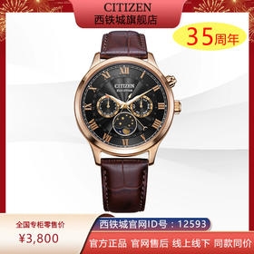 西铁城日本官方正品光动能月相盈亏月份星期日历男表AP1059-19E