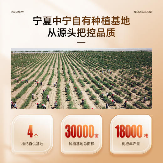 【粉丝专属❗️宁夏枸杞头茬枸杞子】新鲜采收，自然晾晒，颗粒饱满，营养丰富！新货中宁夏红枸杞颗粒饱满泡茶泡酒头茬子即食L 商品图1
