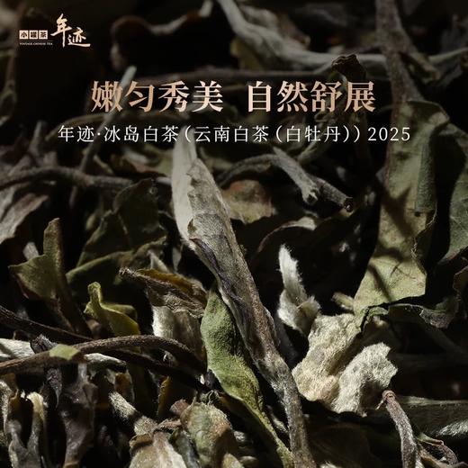 小罐茶年迹云南冰岛老白茶白牡丹茶饼茶叶礼盒装500g 送长辈送礼 商品图2