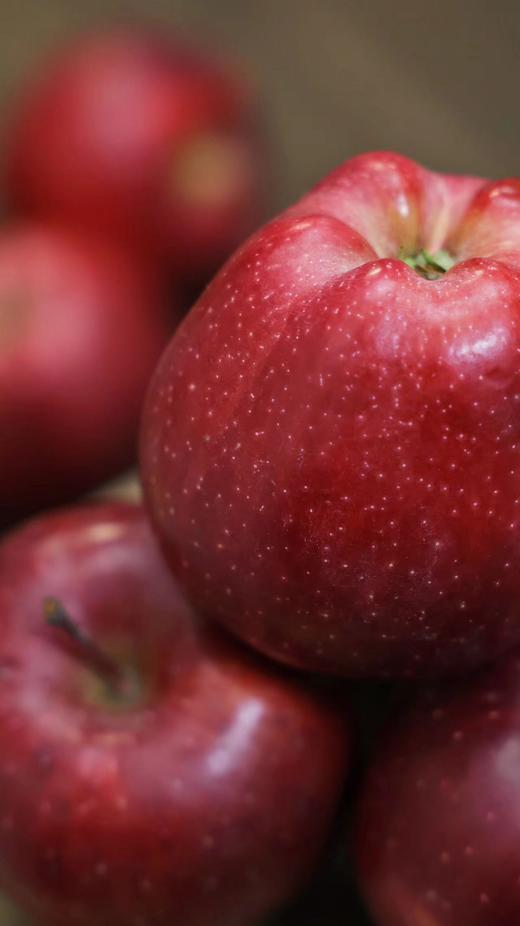 组团9-11号发货 商品图1