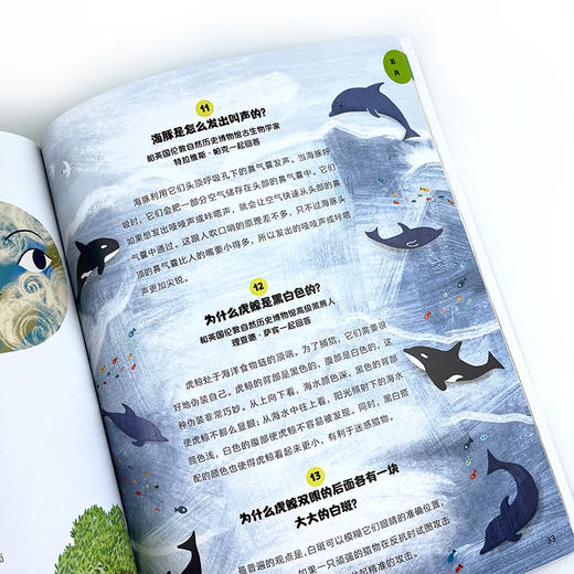 《一天一问奇趣小百科》（全4册） 商品图3