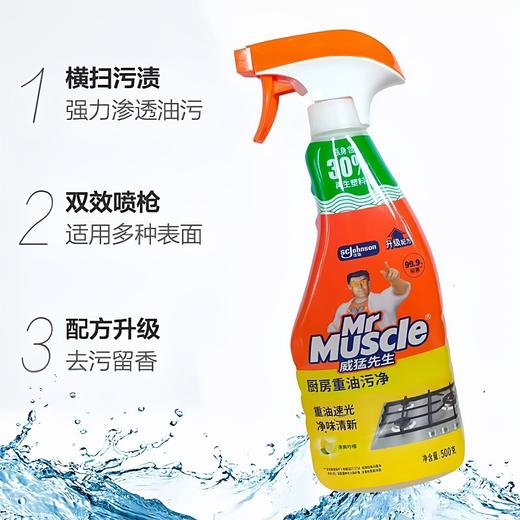 【特价】威猛先生油污净除油套装柠檬香500g*2瓶【效期2027年7月】 商品图4