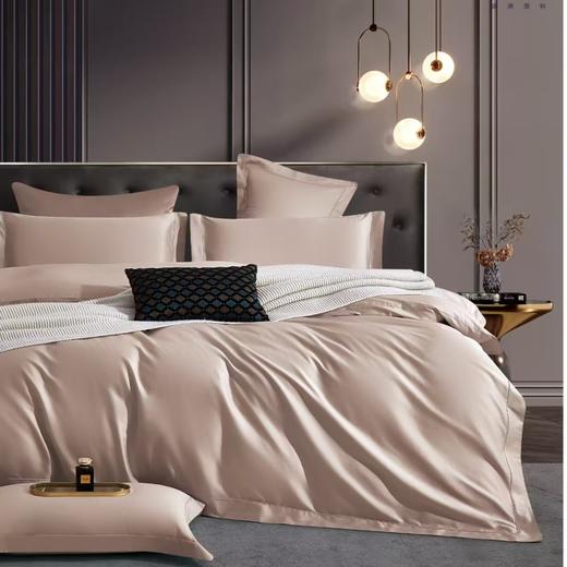 【春上新】10楼 恐龙 素色长绒棉四件套（多色）200*230cm/ 220*240cm   吊牌价1880-1980元    活动价499-599元 商品图4