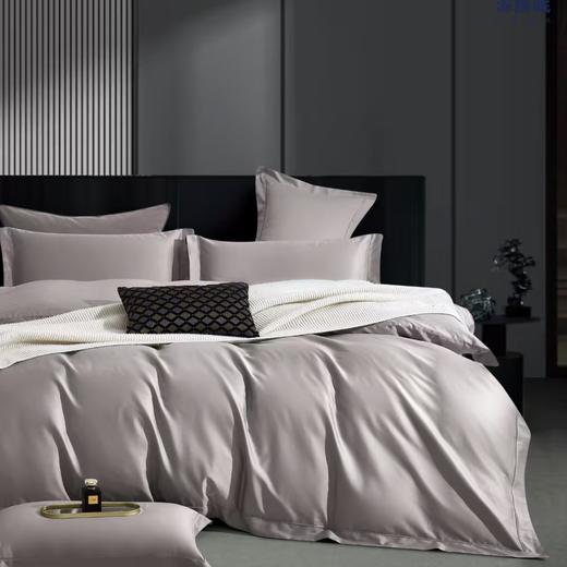 【春上新】10楼 恐龙 素色长绒棉四件套（多色）200*230cm/ 220*240cm   吊牌价1880-1980元    活动价499-599元 商品图3