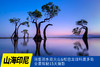 6.3确定出发【山海印尼】日惹泗水双火山&松巴龙目科莫多岛全景探秘15天摄影<环球寻梦> 商品缩略图0