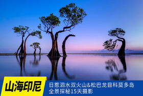 6.3确定出发【山海印尼】日惹泗水双火山&松巴龙目科莫多岛全景探秘15天摄影<环球寻梦>