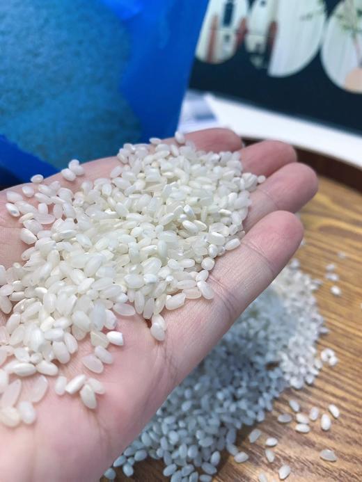 东台小町大米 5KG  25ZB1202- 商品图1