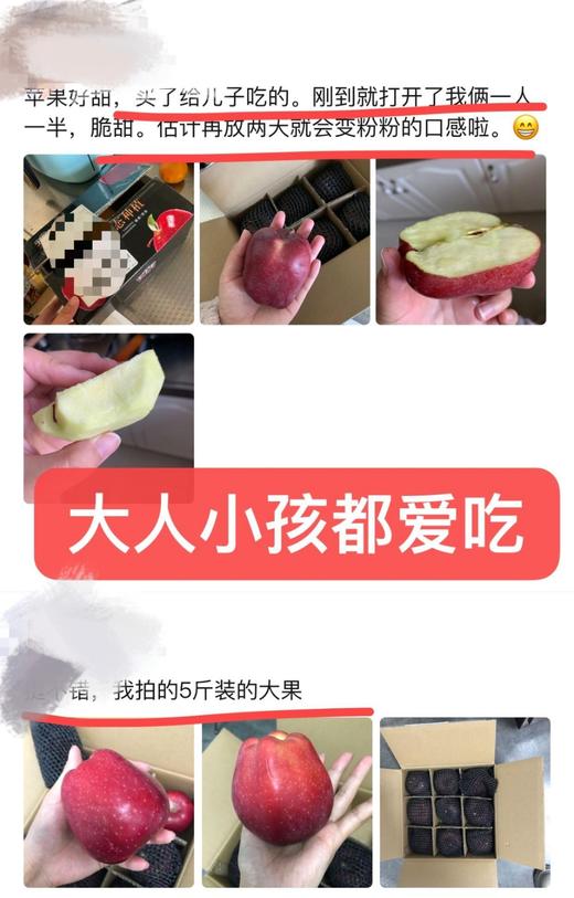 组团9-11号发货 商品图11