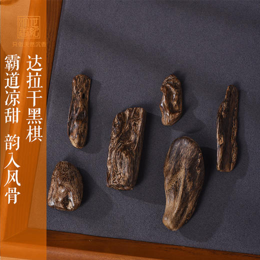 天然达拉干黑棋沉香 九分沉 SP10974 商品图0