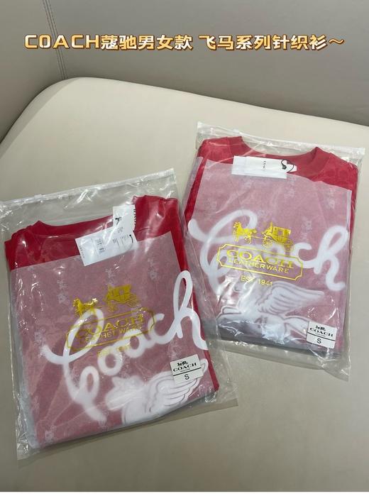 年后发！代工订单裁余！纯元！Coa女士飞马刺绣针织卫衣/短袖T恤（售后时间：签收3天内，不合适及时申请） 商品图12