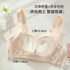 雅黛俪女士文胸小胸聚拢显大性感蕾丝上薄下厚杯收副乳内衣胸罩 商品缩略图3