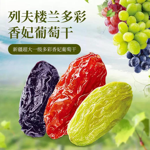 列夫楼兰多彩香妃葡萄干500g 商品图2