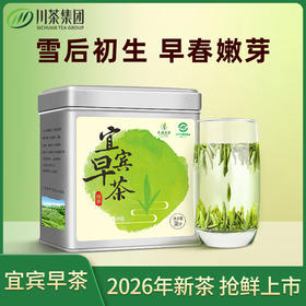 【2026年新茶】天府龙芽丨宜宾早茶 明前早春头采 特级 绿茶 50g 头采量少