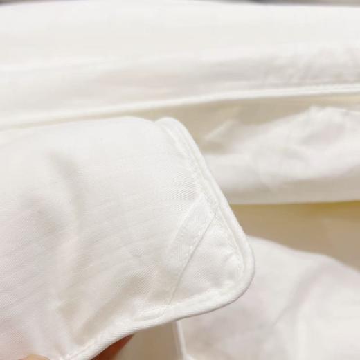 【分销】【桐乡蚕缘蚕丝被】桑蚕丝（长丝） 蚕丝被国标起草单位，真正源头厂家直发，有内衬和手提袋， 结婚陪嫁置办新被推荐 商品图5
