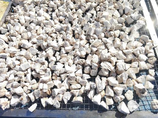 野生茯苓块500g【基地直发】| 产地：云南楚雄 | 生产者：康丽【公平贸易农人定价】 商品图1