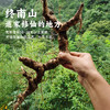 九蒸九晒黄精&黑豆 商品缩略图1