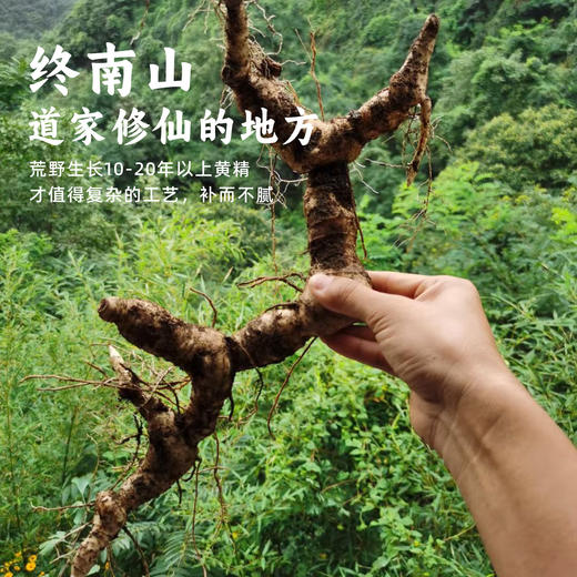 九蒸九晒黄精&黑豆 商品图1