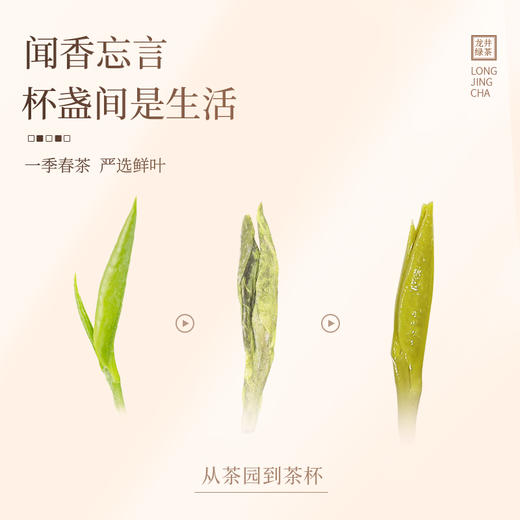 【顺丰春季茶礼】茶叶 龙井 陶瓷罐 茶叶礼盒 茶饮 华源 250g 商品图4
