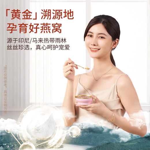 【粉丝专属❗泡小燕年货礼盒】吃燕窝养“红”气，甄选品质原料制作，优选印度尼西亚燕窝，过年速食粥燕窝礼盒L 商品图2