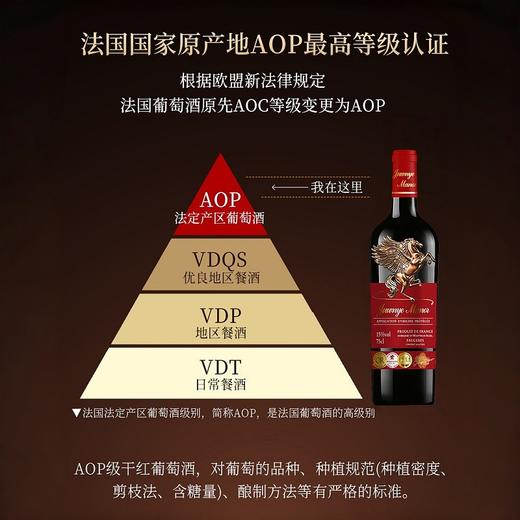 【春节正常发货】法国 君燚庄园飞马浮雕红酒礼盒 750ml*2瓶 商品图4