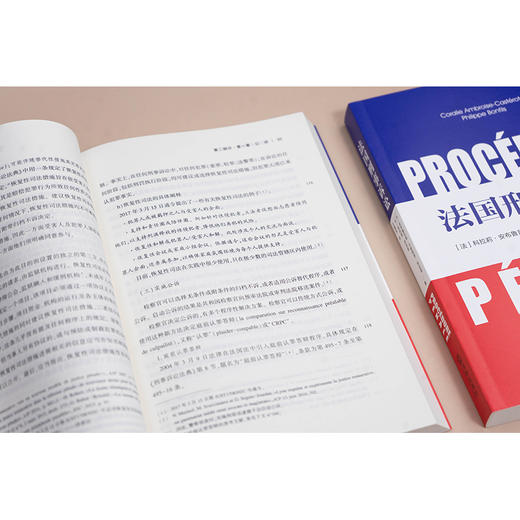 法国刑事诉讼 [法]科拉莉·安布鲁瓦兹·卡斯特罗 [法]菲利普·邦菲斯著 王晨辰译 法律出版社 商品图2