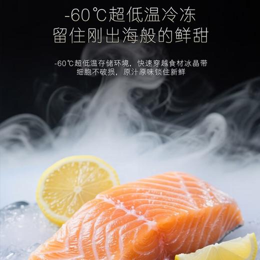 卡萨帝（Casarte）冰柜超低温零下负-60℃度电子控温金枪鱼三文鱼海鲜食材冷冻商用家用大容量冷柜智能WIFI DW-60W161EGU1 156L 商品图5