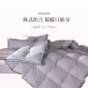 品牌直发 irisette 羽绒蚕丝复合被2.0 商品缩略图0
