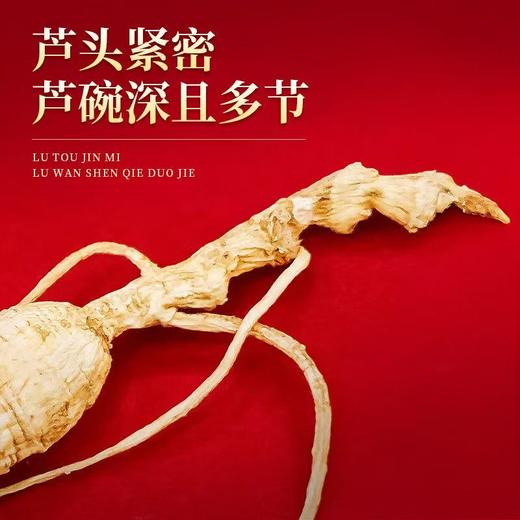 【长白山人参】林下参礼品盒装50g 商品图3